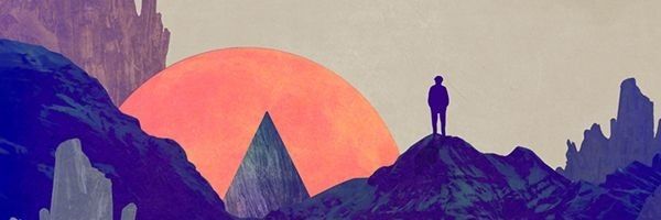 sebsflors's profile banner image
