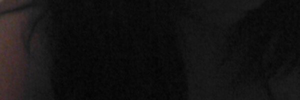 Shonnielicious Profile Banner