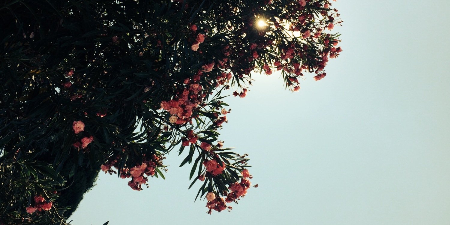 Nhunt1108's profile banner image