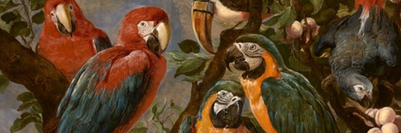 du_doc's profile banner image