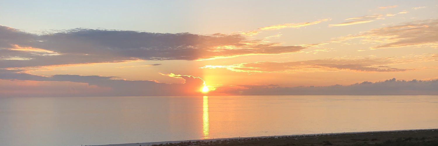 rozpeterson's profile banner image