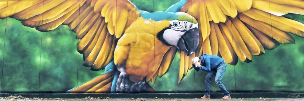 YesZebra 🦓 banner