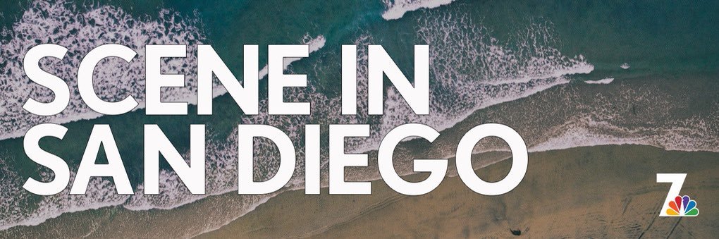 Scene in San Diego banner