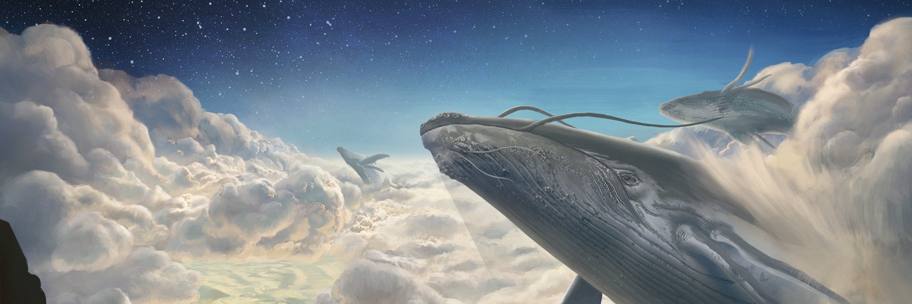 SamJumisko's profile banner image