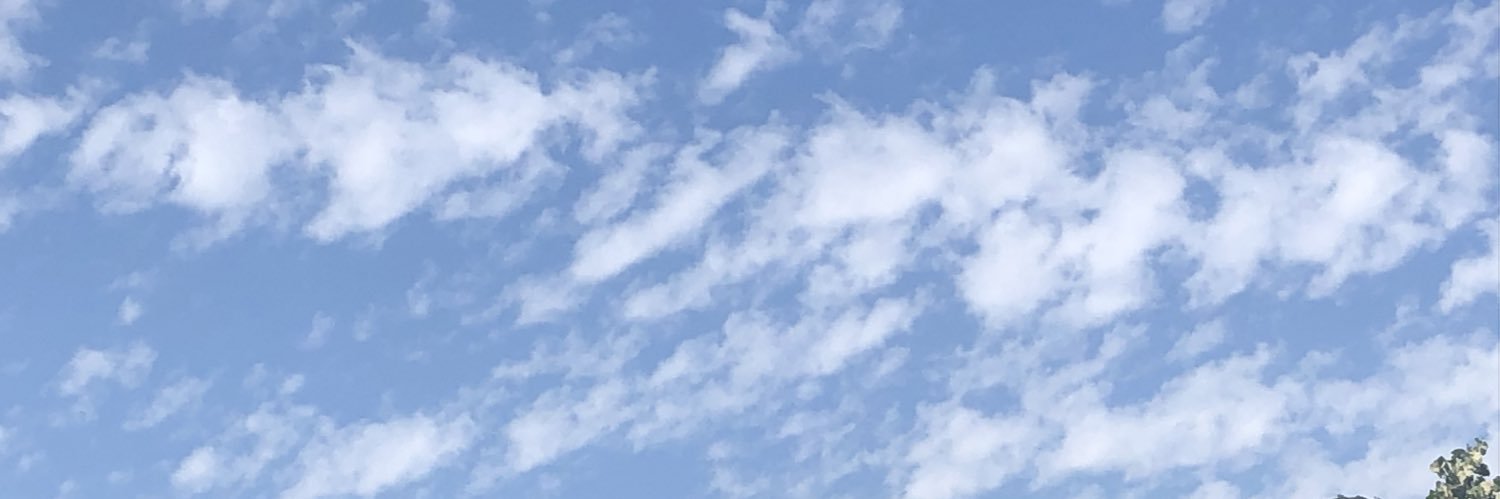 calamarcdo's profile banner image