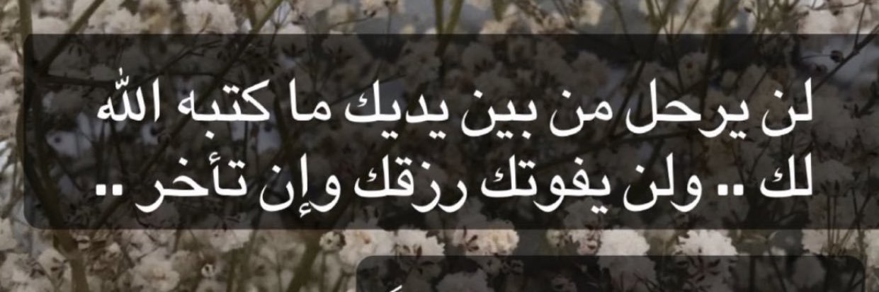 محمد الرفاعي banner