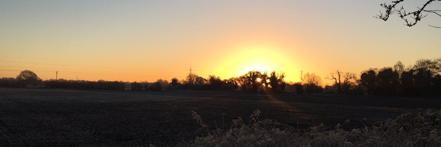 Emma O'Reilly banner