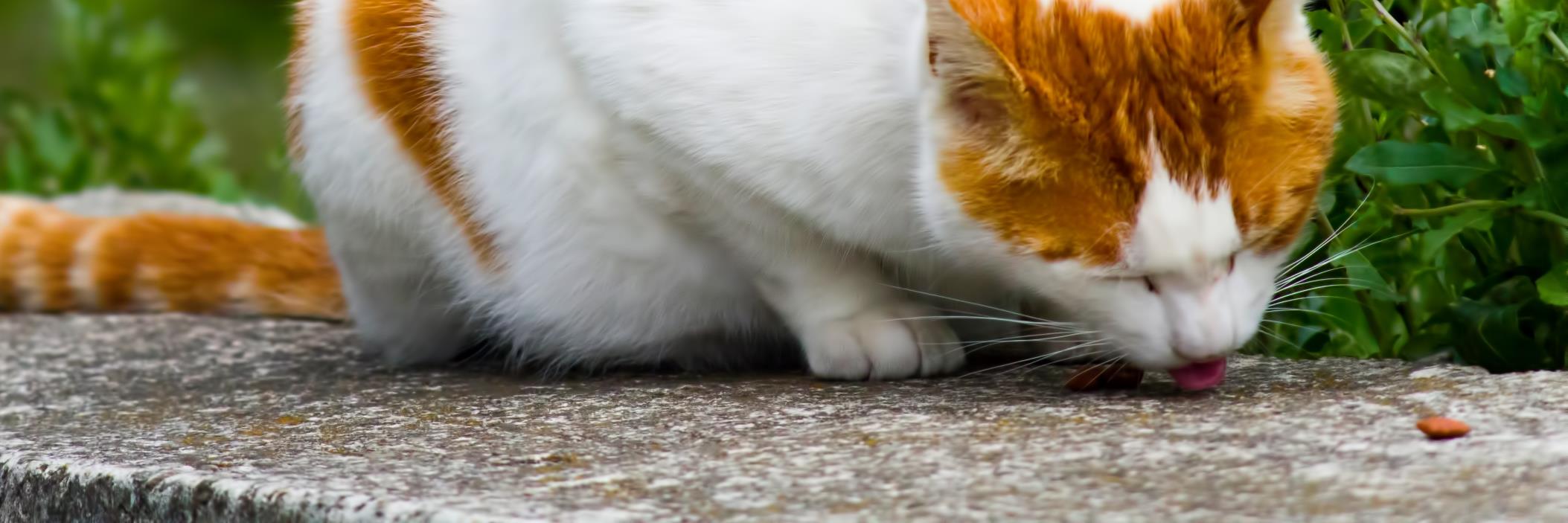 mtskzk's profile banner image