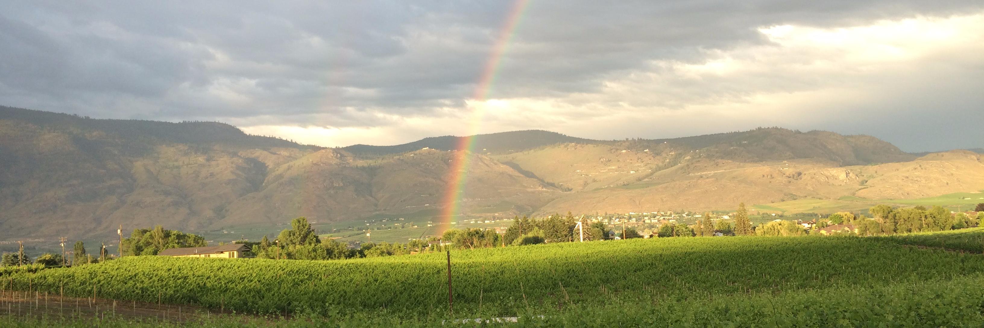 LVPwinemaker's profile banner image