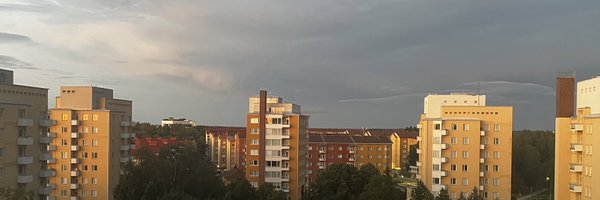 JanneGylling Profile Banner