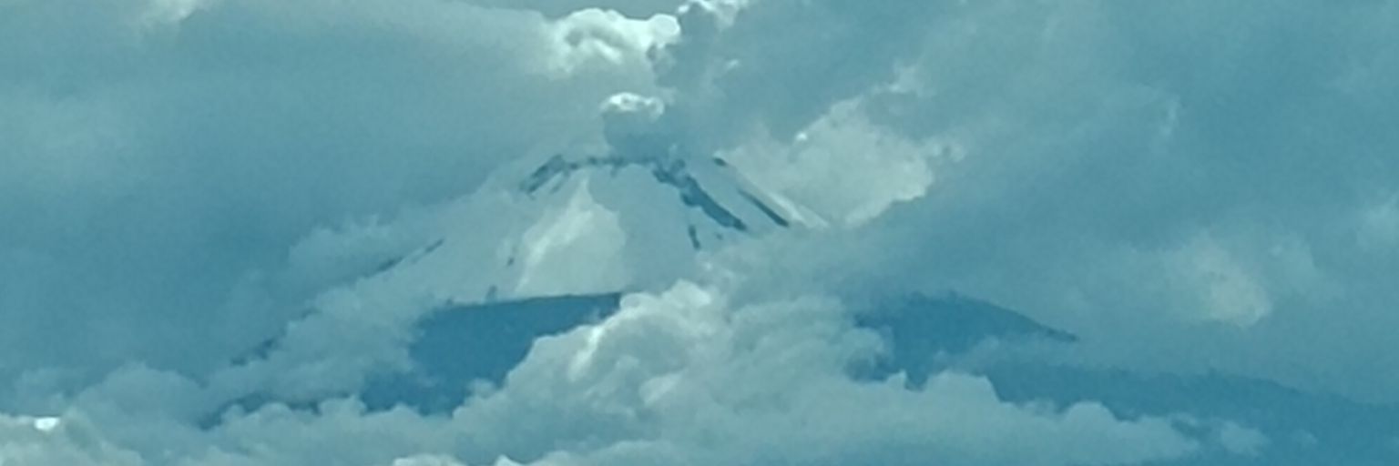 havelarg's profile banner image