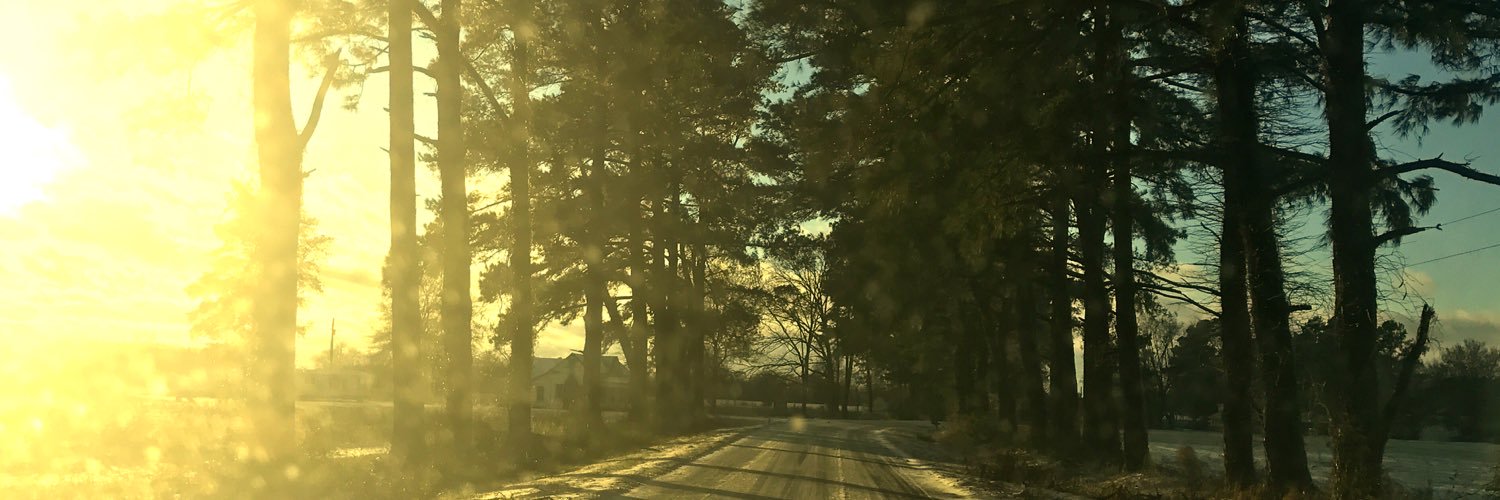 allisonbailey77's profile banner image
