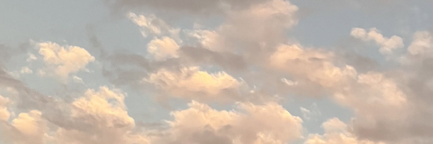 camidemiquei's profile banner image