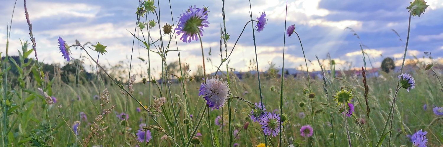 du77an's profile banner image