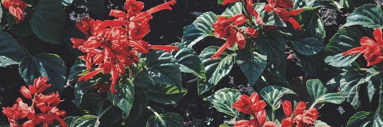 gargabiew2's profile banner image