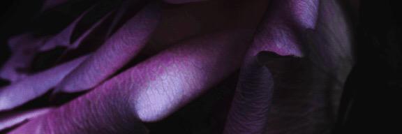 m__hkm's profile banner image