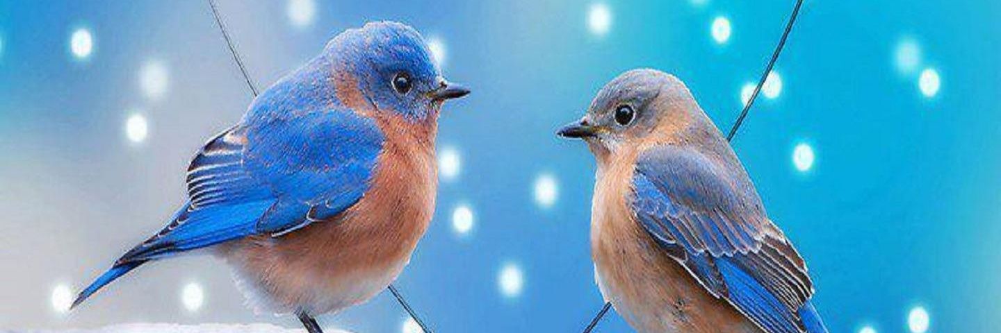 RealSahani's profile banner image