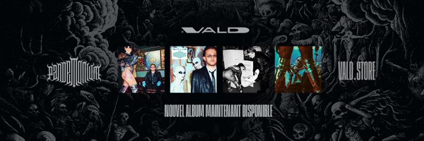 vald_ld Profile Banner