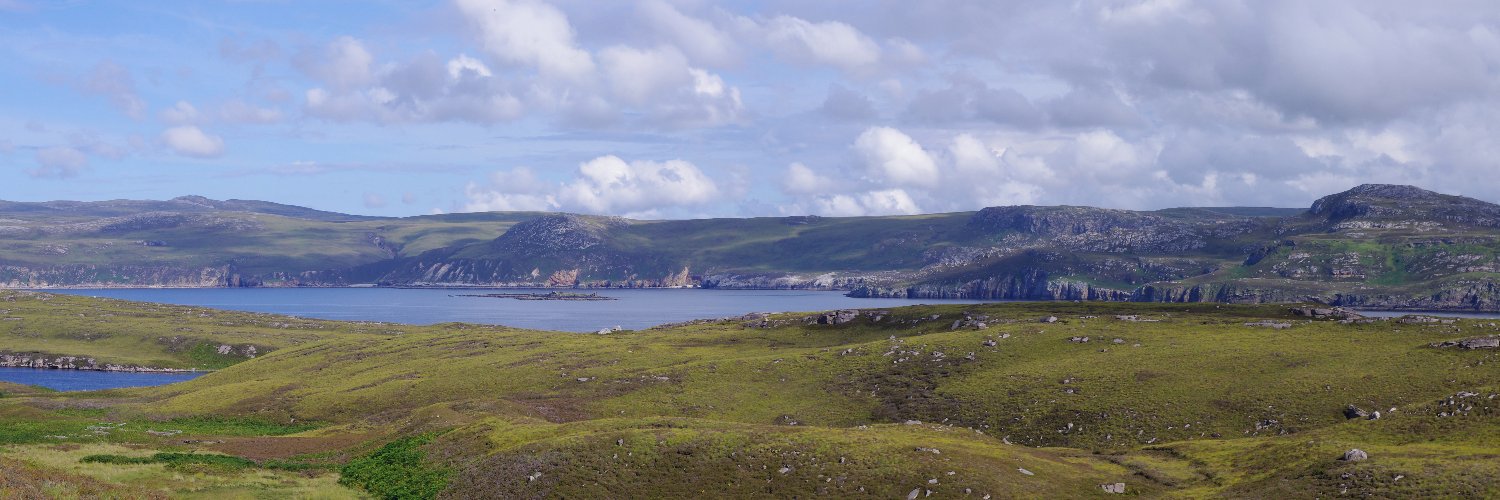 Roy Dunn banner