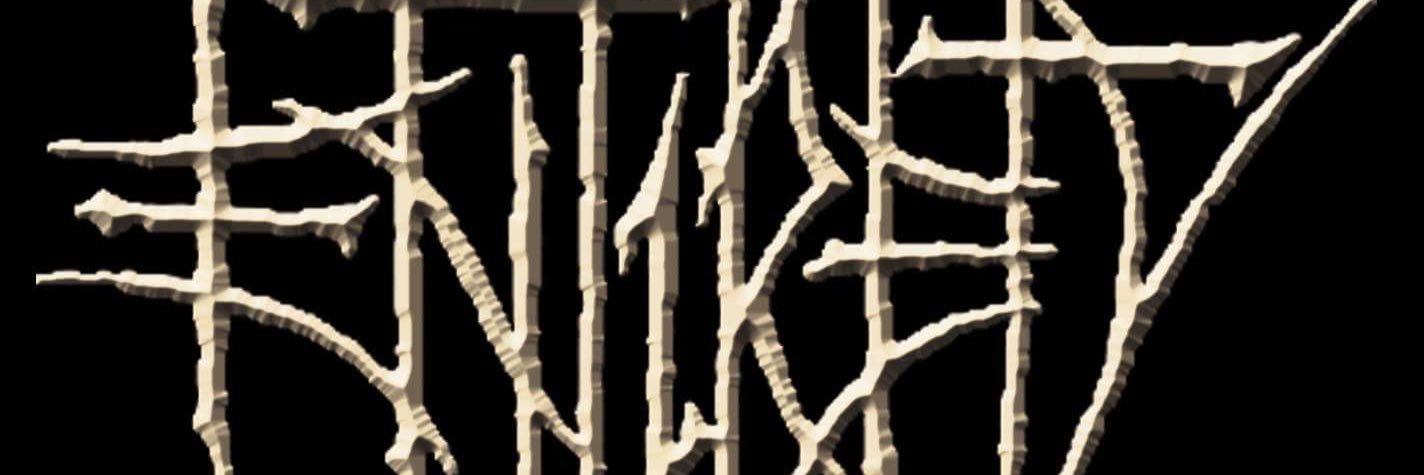 Daveentirety's profile banner image