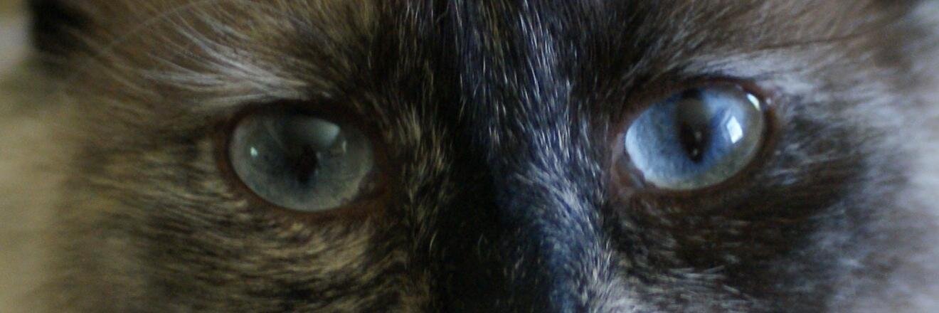 hstanbrough's profile banner image