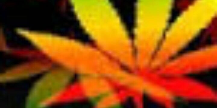 SpanishBl00d's profile banner image