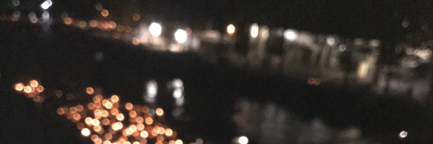 leloueyr's profile banner image