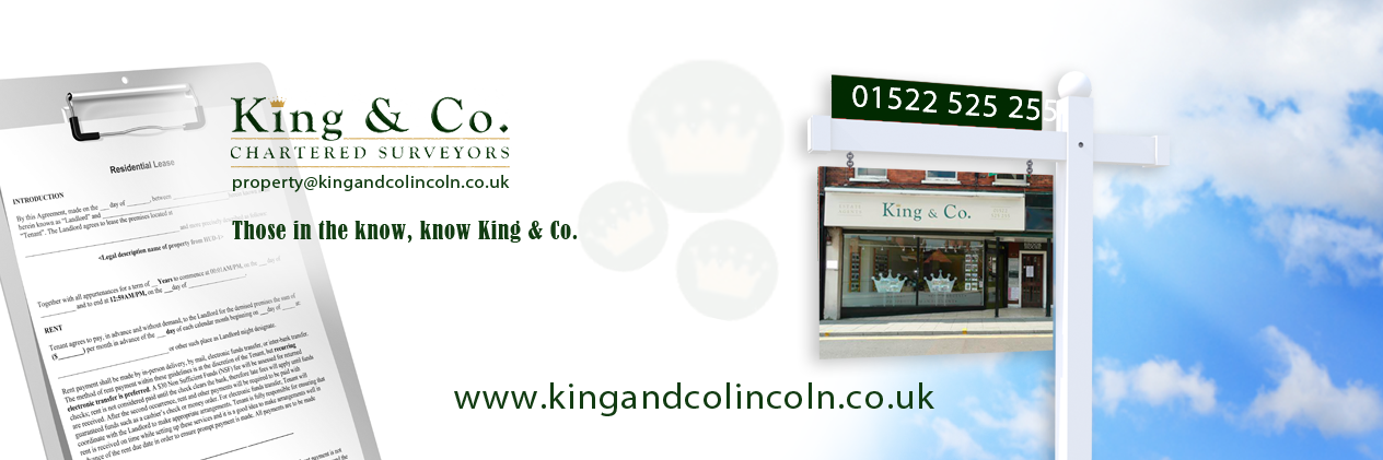kingand_co's profile banner image
