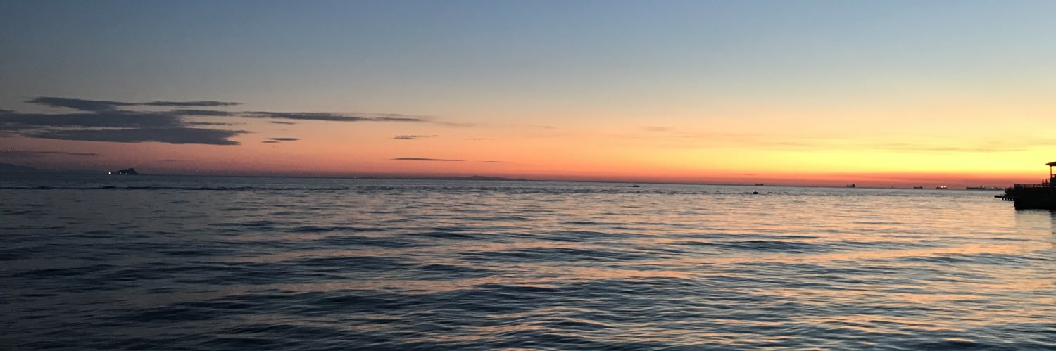 savaskran's profile banner image