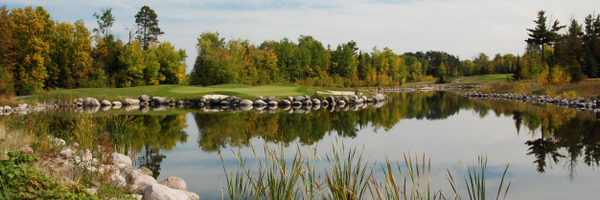 FortuneBay Profile Banner