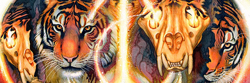 Khaosdog's profile banner image