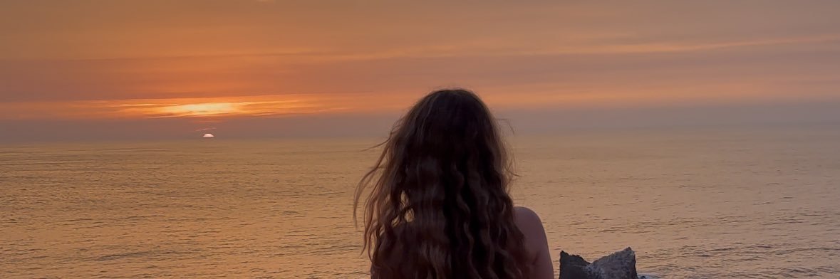 sylviavdwb's profile banner image