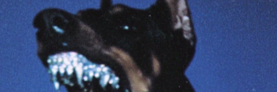 3ric_01's profile banner image