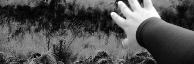 sofialpv's profile banner image