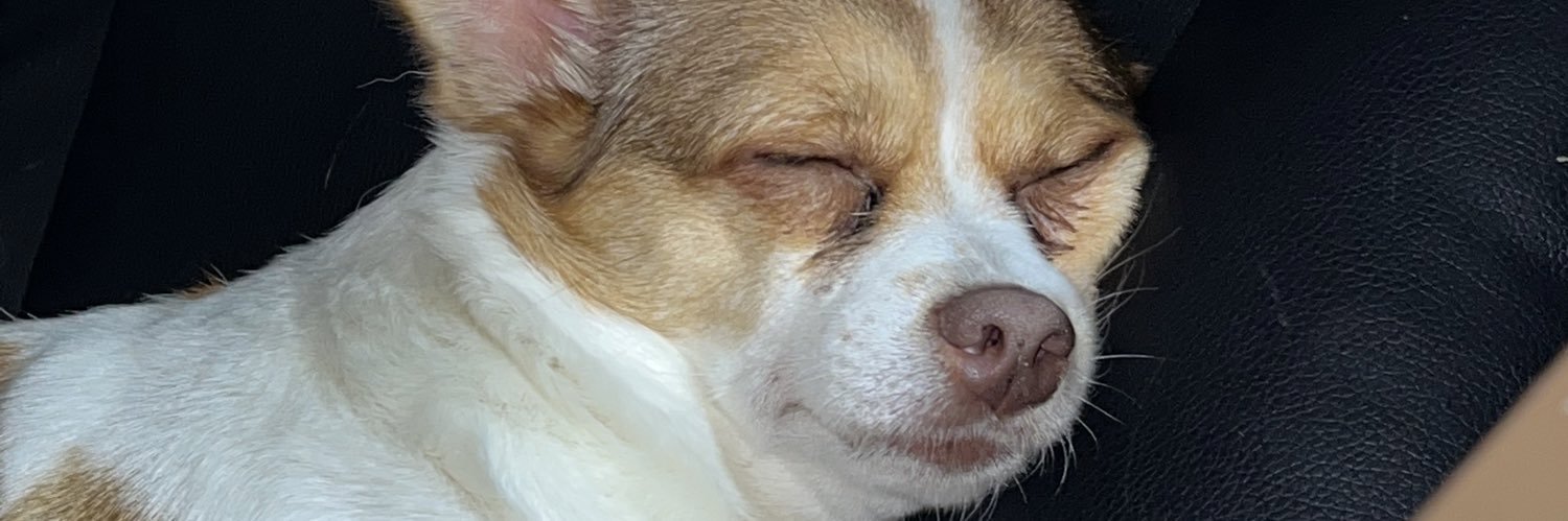 richelaidaaa's profile banner image