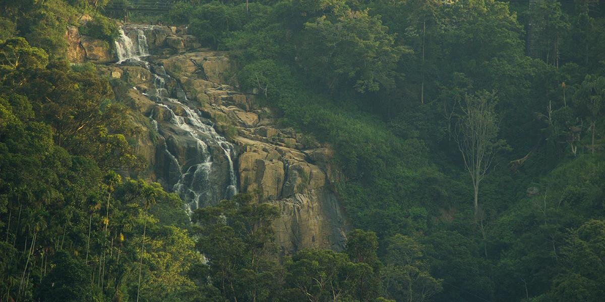 davidbeljan's profile banner image