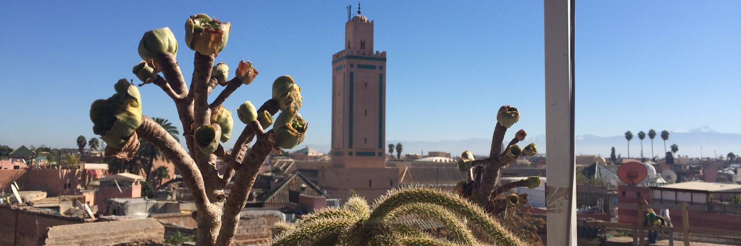 Samie Blasingame banner