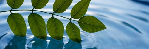 theinventher's profile banner image