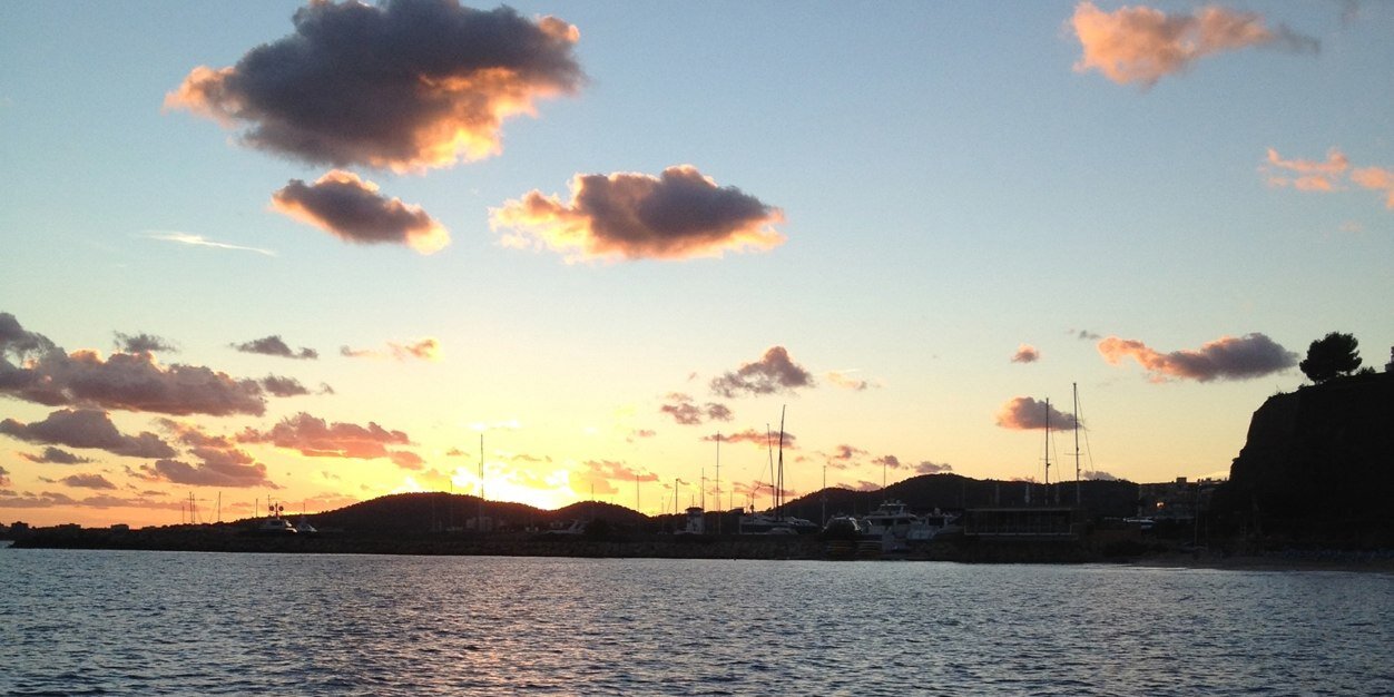 Christine Cort banner