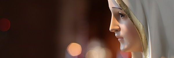 RoX3108's profile banner image