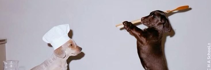 nidadalala's profile banner image
