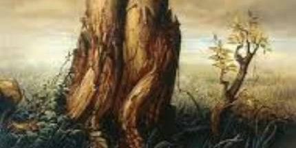 chrissy41h's profile banner image