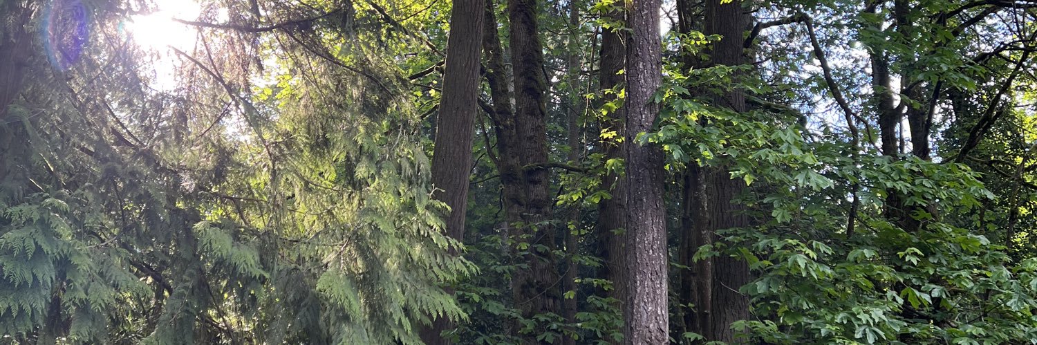 killerlimejello's profile banner image