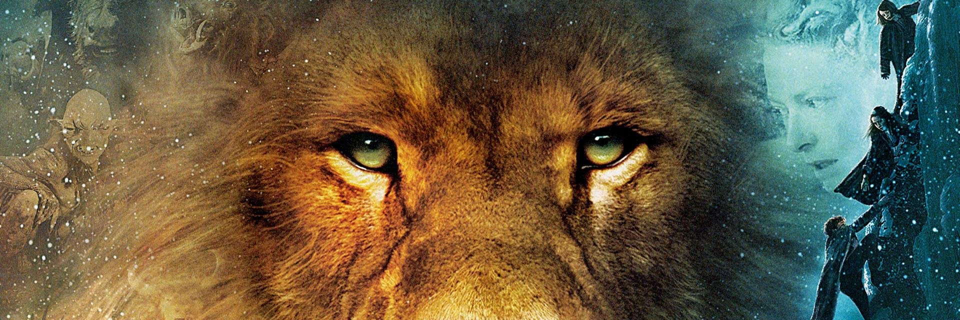 RolOfNarnia's profile banner image