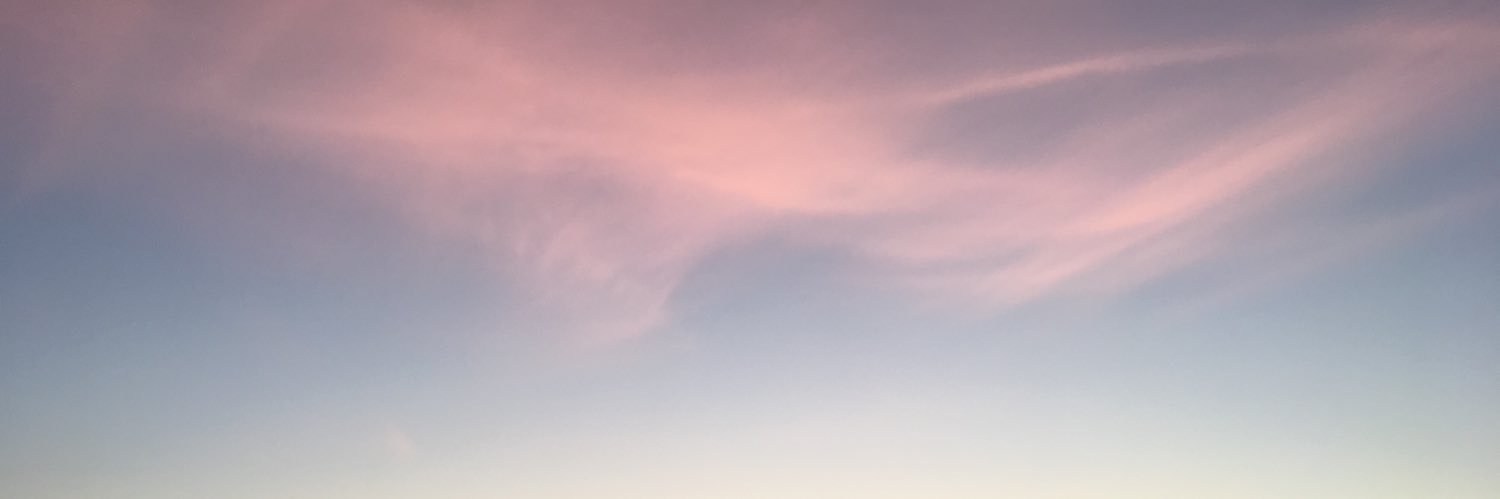 sarahmwallace's profile banner image