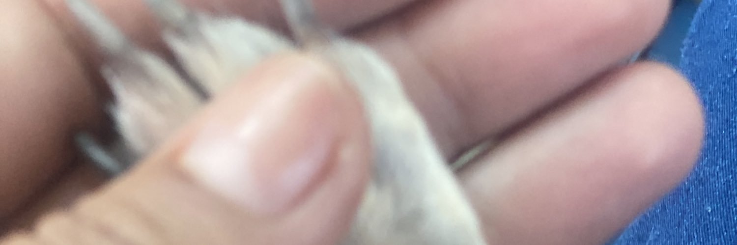 velyta86's profile banner image