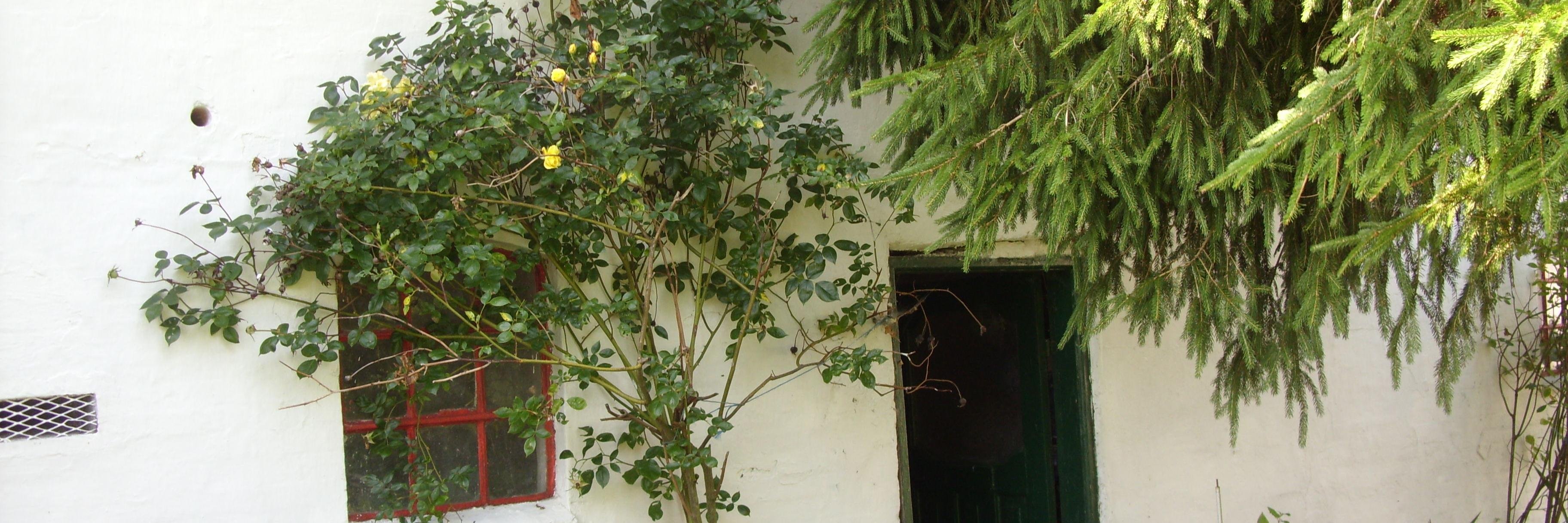mlassen1403's profile banner image