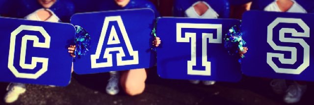 Davidson Cheer banner