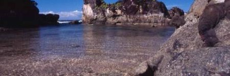 kabinethijau's profile banner image