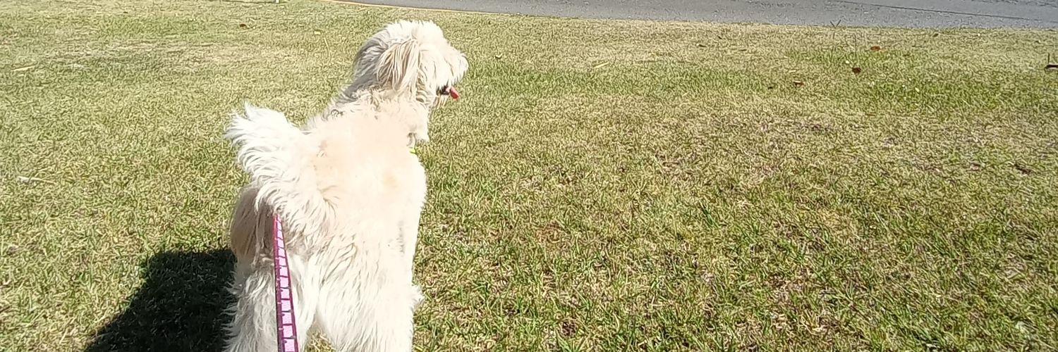 JesusDaniel_23's profile banner image